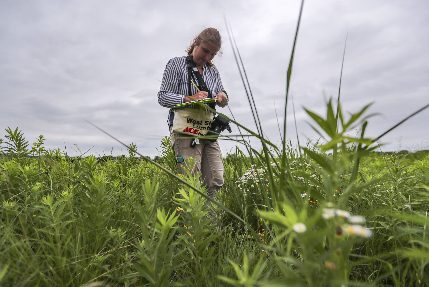 062218-qct-bioblitz-005